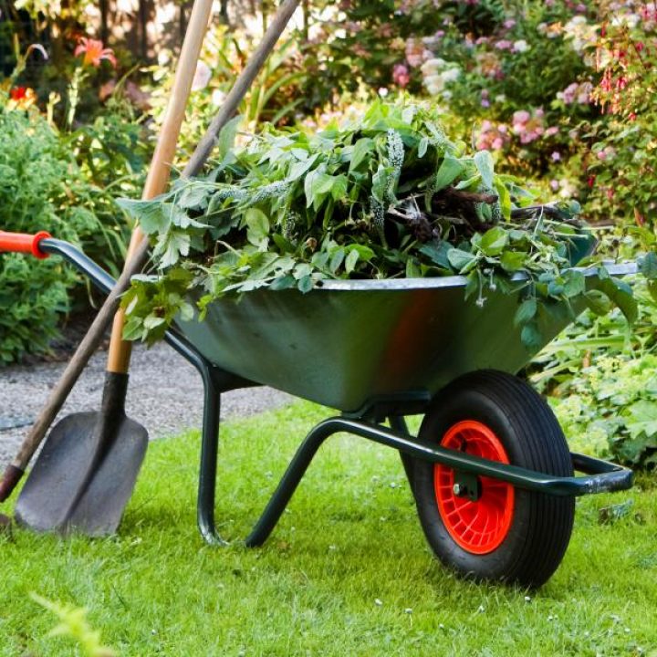 gartenservice gestaltung wien